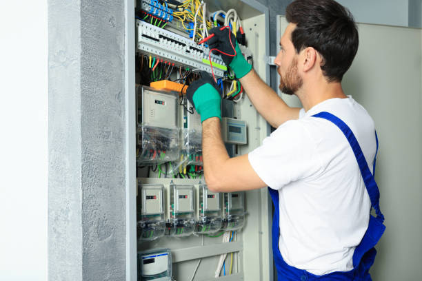 Best Residential Electrician Services  in Charlevoix, MI